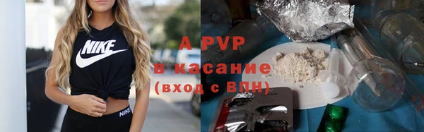 гидропоника Алзамай