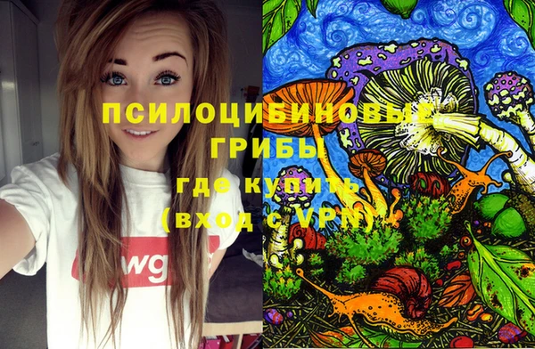 дживик Алексин