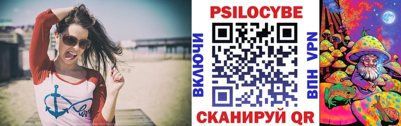 Купить  Сорск  Галлюциногенные грибы Psilocybe 